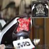 Railside Performance Ninja 650 Z650 2017-2019 Z900 2017-2024 Z H2 2020 + Integrated Sequential LED Tail Light view 2