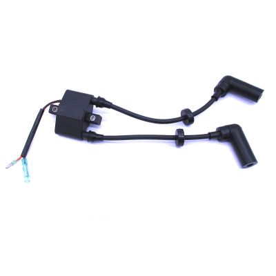 SouthMarine Boat Engine 66M-85570-00 F15-07000600 Ignition Coil Assy for Yamaha Parsun HDX Makara Outboard Motor T9.9 F9.9 F13.5 F15