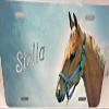Brown Horse Personalized Custom License Vanity Plate Free Engraved Auto Car Tag License Plate Beautifully Designed and Specially Made view 4