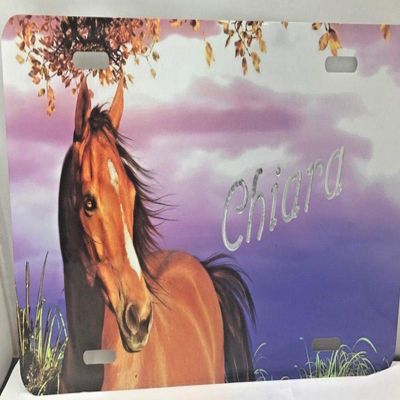Brown Horse Personalized Custom License Vanity Plate Free Engraved Auto Car Tag License Plate Beautifully Designed and Specially Made