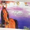 Brown Horse Personalized Custom License Vanity Plate Free Engraved Auto Car Tag License Plate Beautifully Designed and Specially Made view 3