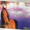 Brown Horse Personalized Custom License Vanity Plate Free Engraved Auto Car Tag License Plate Beautifully Designed and Specially Made view 4