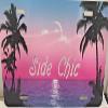 Palm Tree Personalized Custom License Vanity Plate Free Engraved Auto Car Tag License Plate Beautifully Designed and Specially Made view 4