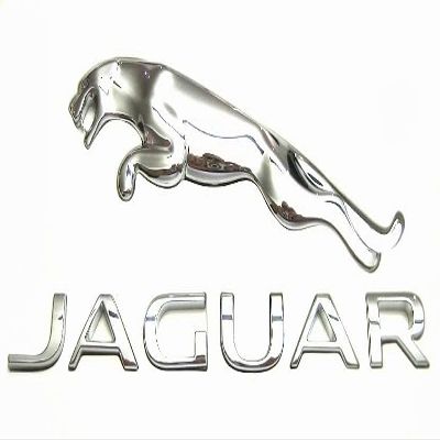 Jaguar OEM 17-18 F-Pace Liftgate Tailgate Hatch-Ornament T4A15451