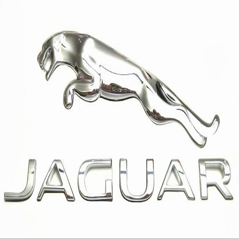 Jaguar OEM 17-18 F-Pace Liftgate Tailgate Hatch-Ornament T4A15451