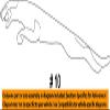 Jaguar OEM 14-18 XJ Trunk Lid-Ornament C2D45699 view 2