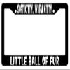BIN SHANG Soft Kitty Warm Kitty Little Ball of Fur Black Metal License Plate Frame view 1