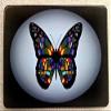BilletVault HMC-TH-BUTTERFLY-4X6-UV view 1