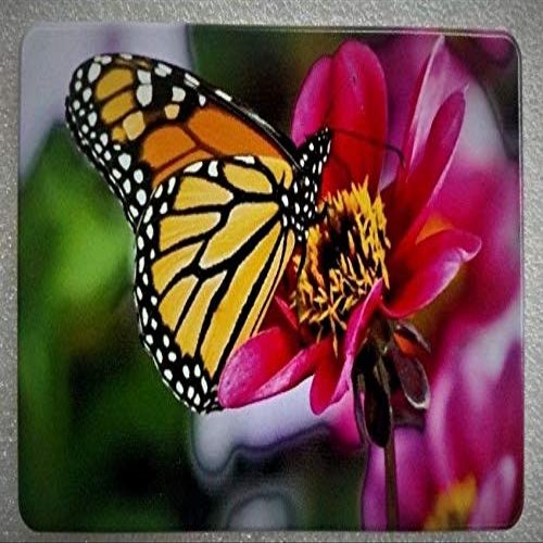 BilletVault HMC-TH-BUTTERFLYFLOWER-4X6-UV